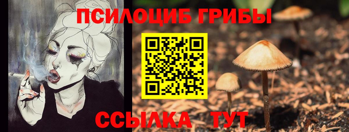 Галлюциногенные грибы GOLDEN TEACHER  купить наркотики цена  Славянск-на-Кубани  Вход с VPN 